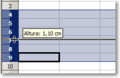 Calc.33x.10.015.png