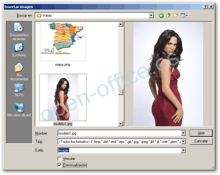 Diálogo Insertar imagen con la casilla Previsualización marcada y una foto seleccionada mostrada en tamaño grande