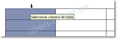 Puntero en forma de flecha hacia abajo sobre una columna de la tabla con el aviso Seleccionar columna de tabla