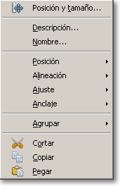 Menú contextual de un vídeo con Posición y tamaño, Descripción, Nombre, Posición, Alineación, Ajuste, Anclaje, Agrupar, Cortar, Copiar y Pegar