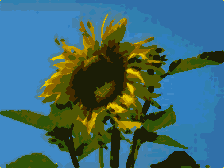 Draw G32 06.003.png