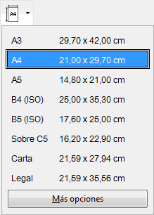 Lista de tamaños de papel con A4 (21,00 x 29,70 cm) seleccionado, junto a A3, A5, B4, B5, Sobre C5, Carta y Legal